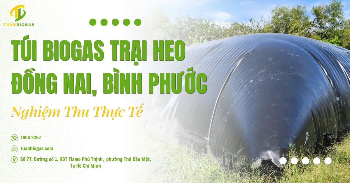 Túi Biogas Trại Heo Đồng Nai, Bình Phước: Nghiệm Thu Thực Tế Trang Trại Quy Mô Lớn